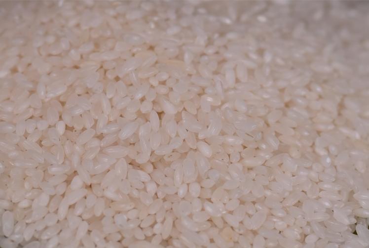 Raw White Rice